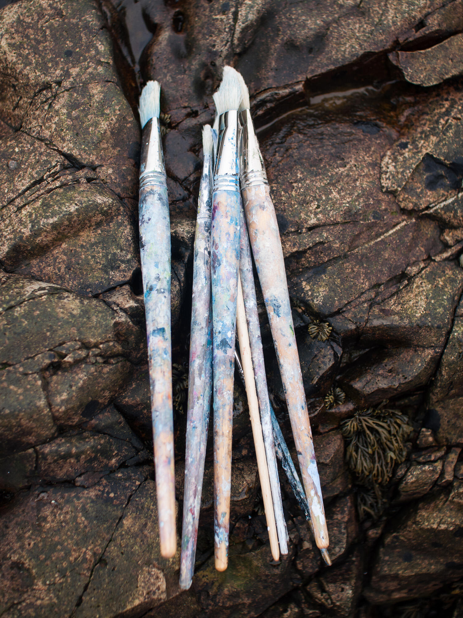 Brita Granström's paintbrushes on the rocks